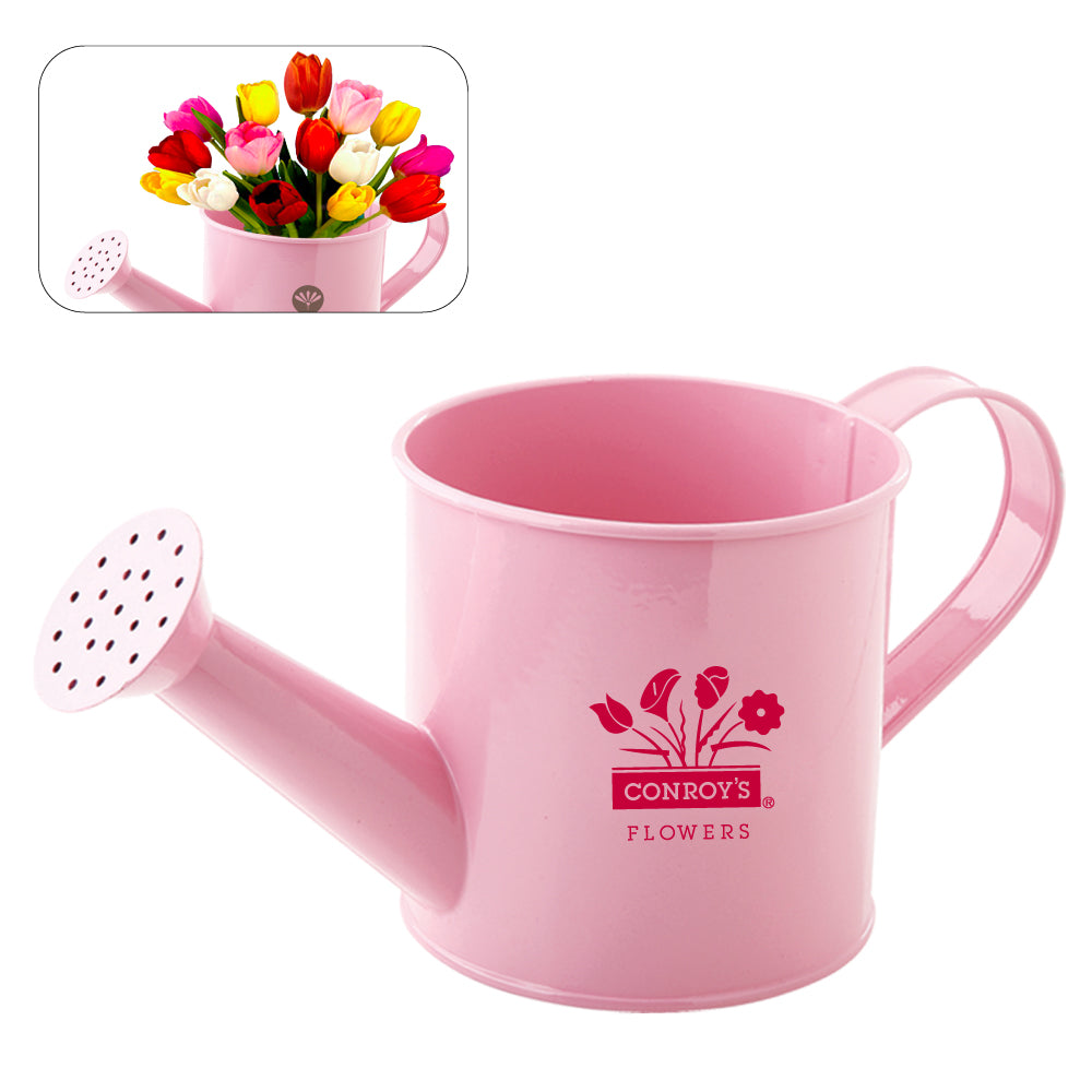 small metal watering can for indoor plants MI-1124 METAL WATERING CAN – Minya Collections